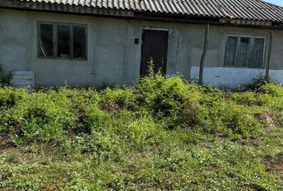 Casă cu 4 camere în Ursoaia