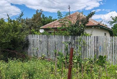 Casă cu 2 camere în Sărulești