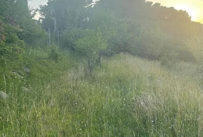 Teren de 2850 mp, în 700 - 3