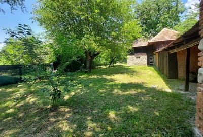 Teren Construcții intravilan de 3786 mp, în Jiblea Veche - 4