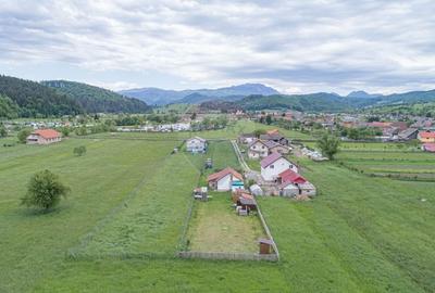 Teren Construcții intravilan de 2551 mp, în Acriș - 3