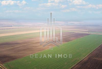 Teren agricol extravilan de 50000 mp, în Moacșa - 5