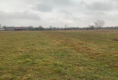 Teren Construcții extravilan de 2600 mp, în Horodnic de Sus - 3