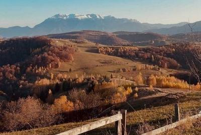 Teren de 2000 mp, în Poiana Mărului - 2