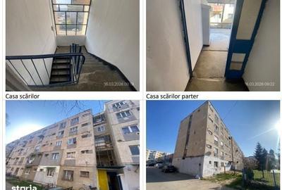 Garsonieră în Viișoara
