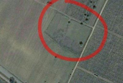 Teren de 6700 mp, în Sud - 3