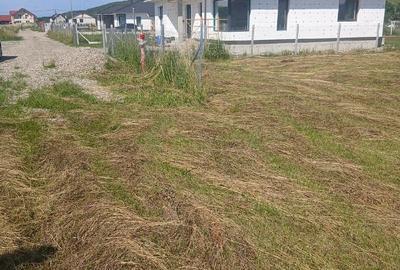 Teren de 1400 mp, în Sărata - 4