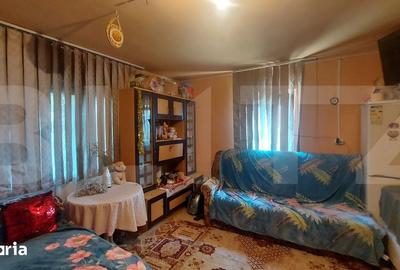 Casă cu 2 camere cu Teren 4000 Mp în Barcani - 6