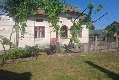 Casă individuală cu 2 camere cu Teren 5000 Mp în Mogoșani