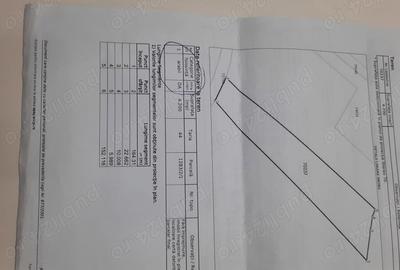 Teren de 4200 mp, în Sâncel - 1