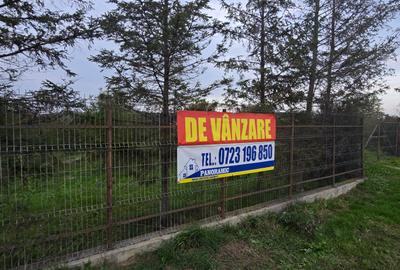 Teren agricol extravilan de 18000 mp, în Boțârlău - 6