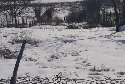 Teren de 3000 mp, în Lunca - 2