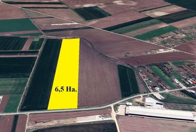 Teren Construcții intravilan de 65000 mp, în Dascălu - 1