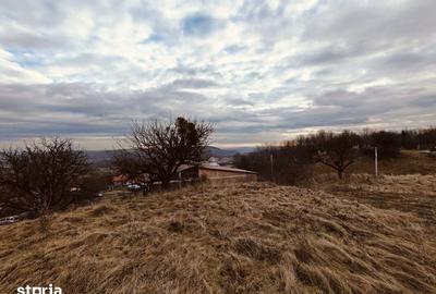 Teren de 770 mp, în Chinteni