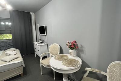 Garsonieră decomandată, mobilată în Dudești - 1