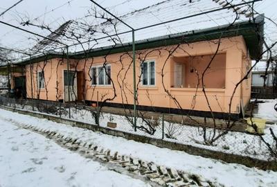 Casă cu 3 camere cu Teren 1602 Mp în Sâncraiu de Mureș - 5