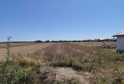 Teren de 3700 mp, în Lazuri