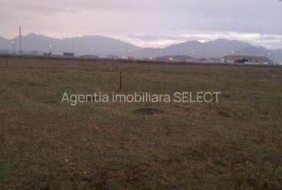 Spațiu comercial, în Sânpetru - 5