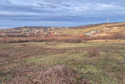 Teren de 800 mp, în Oncea