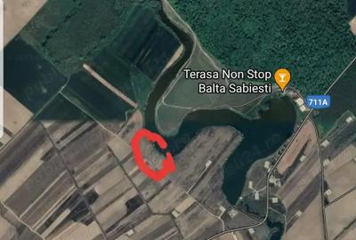 Teren de 4200 mp, în Ghimpați - 6
