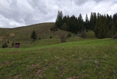 Teren de 600 mp, în Paltin - 2