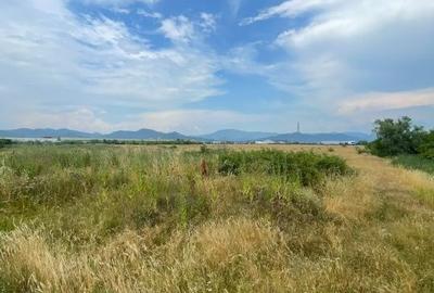 Teren de 2994 mp, în Vasile Alecsandri - 1