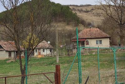 Teren de 1340 mp, în Mociu - 1