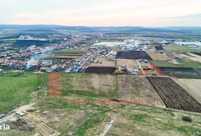 Teren de 70000 mp, în Șura Mică - 7
