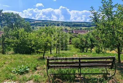 Casă cu 4 camere în Calbor - 2