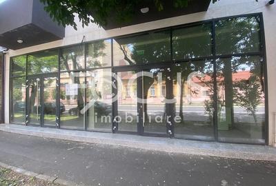 Spațiu comercial, de 110 mp, în Șagului