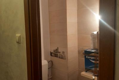 Apartament cu 2 camere decomandat în Popa Șapcă - 6
