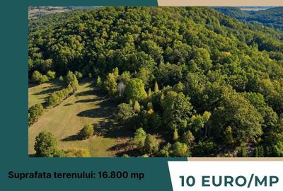 Teren extravilan de 16800 mp, în Bățanii Mici