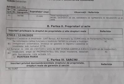 Teren de 15600 mp, în Giula