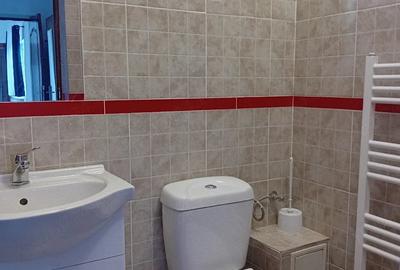 Apartament cu 2 camere decomandat în Amara - 4