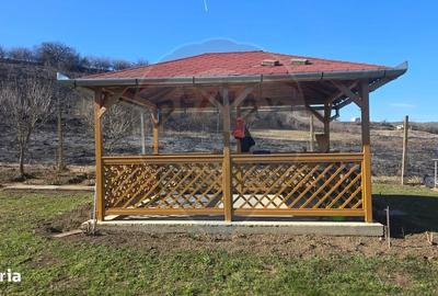 Teren de 2900 mp, în Blăjel - 8
