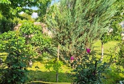 Casă individuală cu 3 camere cu Teren 969 Mp în Albina - 4