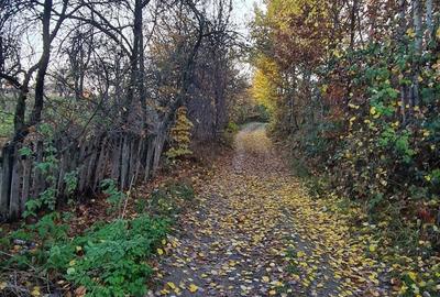 Teren de 8800 mp, în Băiculești - 1