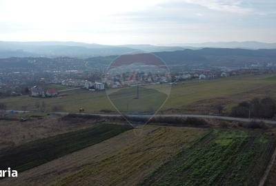 Teren de 19375 mp, în Dâmbul Rotund