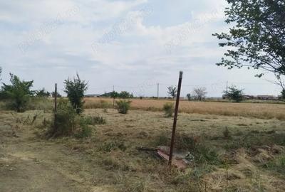 Teren de 310 mp, în Domnești