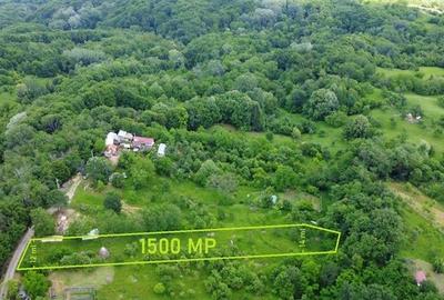 Teren Construcții intravilan de 1500 mp, în Priba - 2
