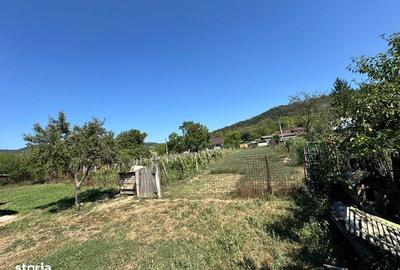 Teren de 1300 mp, în Tamași - 3