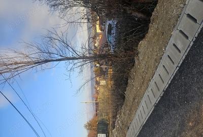 Teren de 500 mp, în Bascov