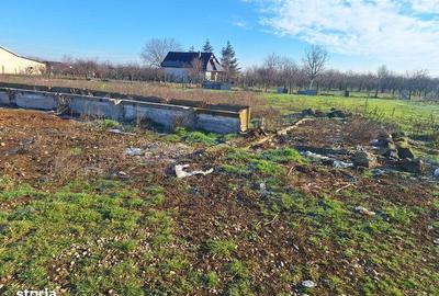 Teren de 6285 mp, în Girișu de Criș - 4
