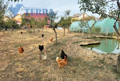 Casă individuală cu 7 camere cu Canalizare în Poiana Lacului - 4