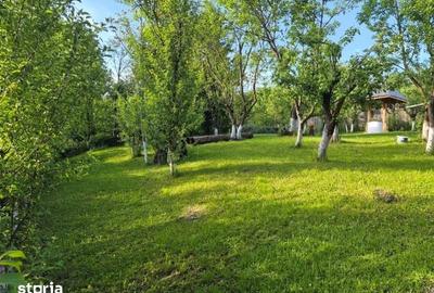 Casă cu 3 camere cu Teren 2250 Mp în Cerașu - 16