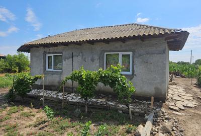 Spațiu comercial, în Valea Cânepii - 2