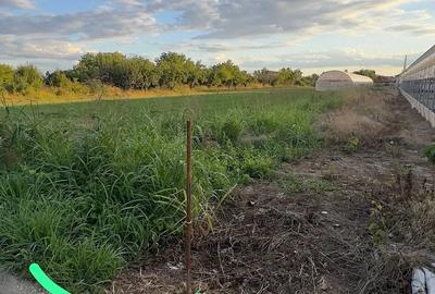 Teren de 700 mp, în Adunații-Copăceni