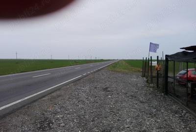 Teren de 5000 mp, în Central - 2