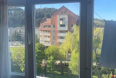 Apartament cu 2 camere în Coman