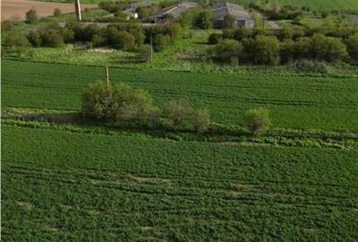 Spațiu industrial, de 6,800 mp, în Beștepe - 4